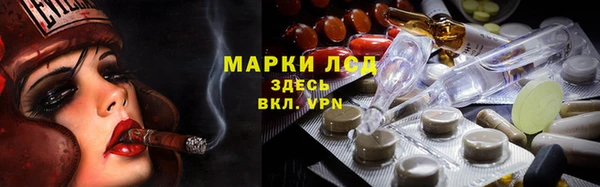 дживик Вязьма