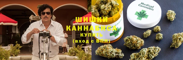 дживик Вязьма