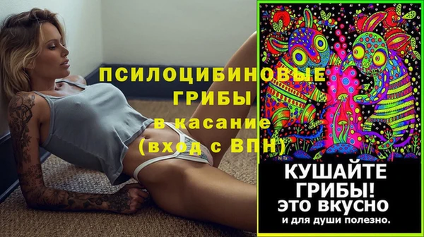 дживик Вязьма