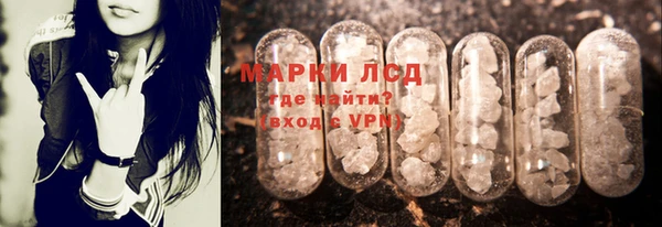 дживик Вязьма
